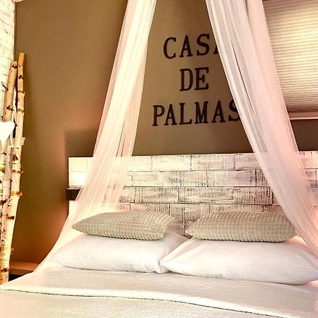 Casa De Palmas - Tiny House Βίλα Αλκμάαρ Εξωτερικό φωτογραφία