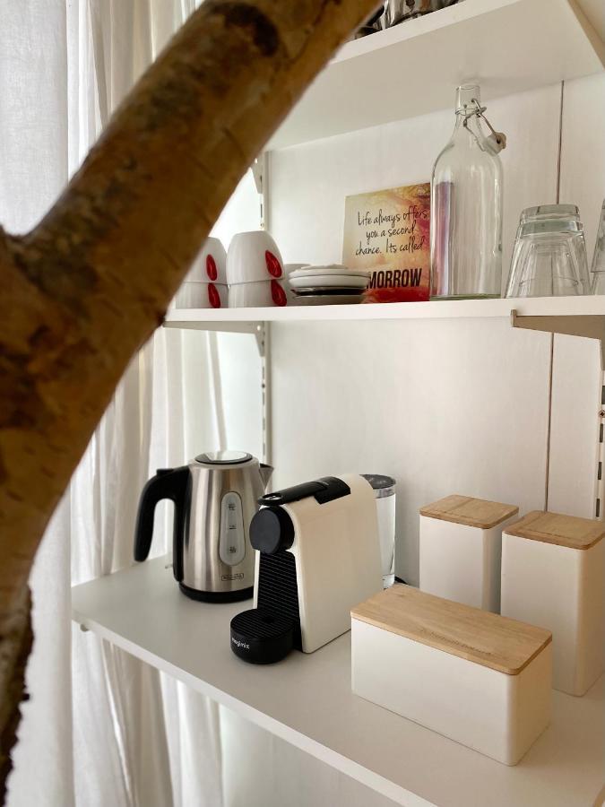 Casa De Palmas - Tiny House Βίλα Αλκμάαρ Εξωτερικό φωτογραφία